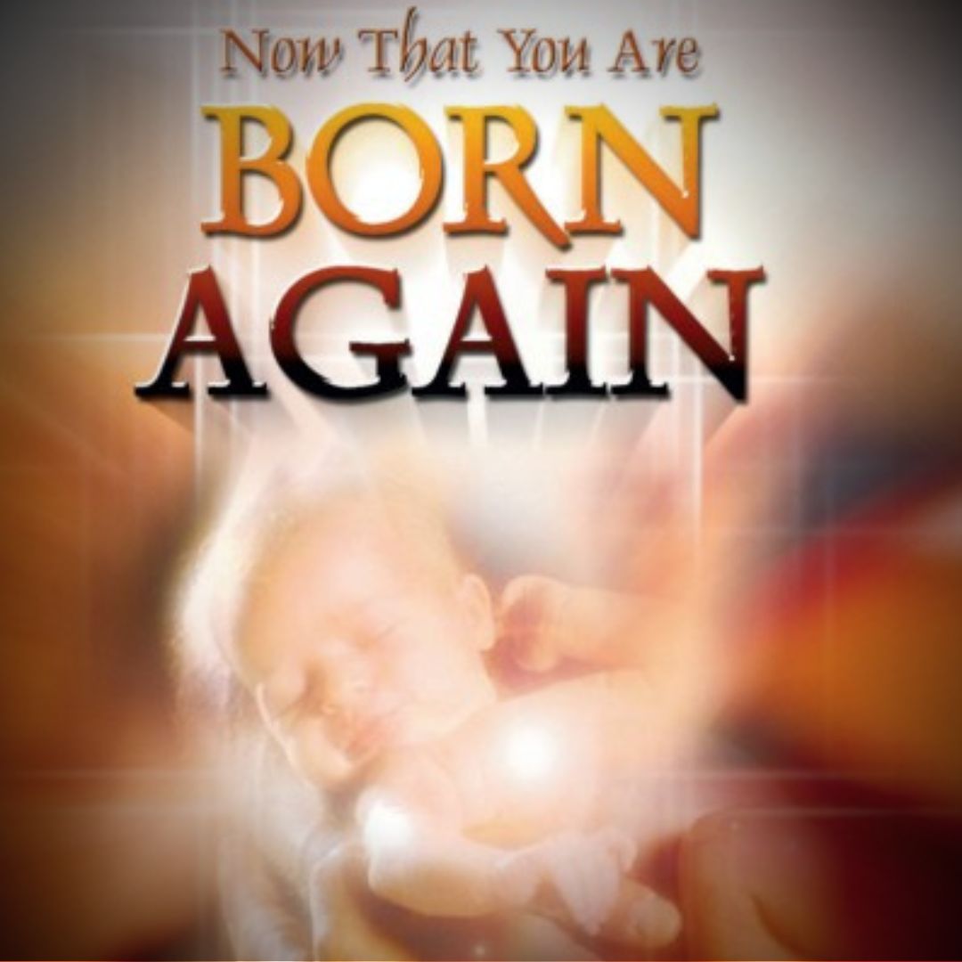 Now That You Are Born Again - Cimanica