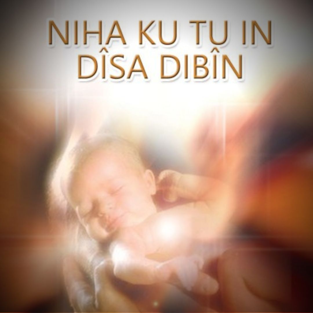 NIHA KU TU IN DÎSA DIBÎN