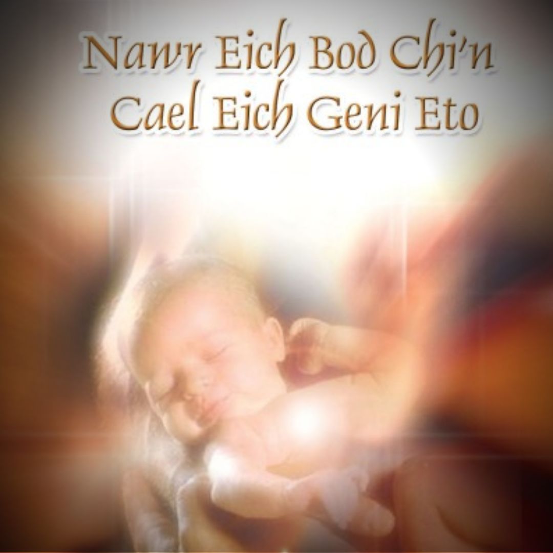 Nawr Eich Bod Chi'n Cael Eich Geni Eto