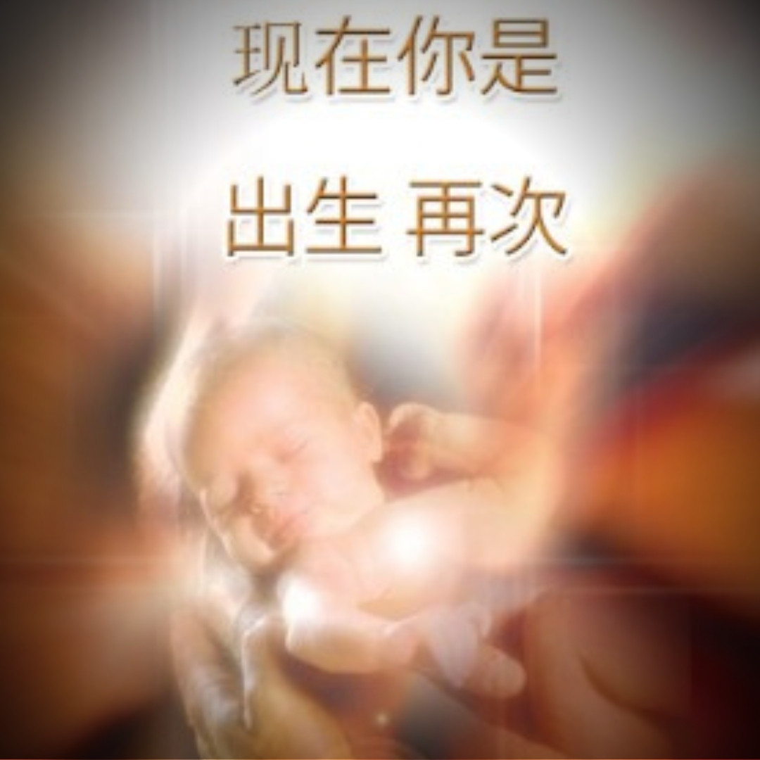 既然你已经重生 - Biasee Dialect