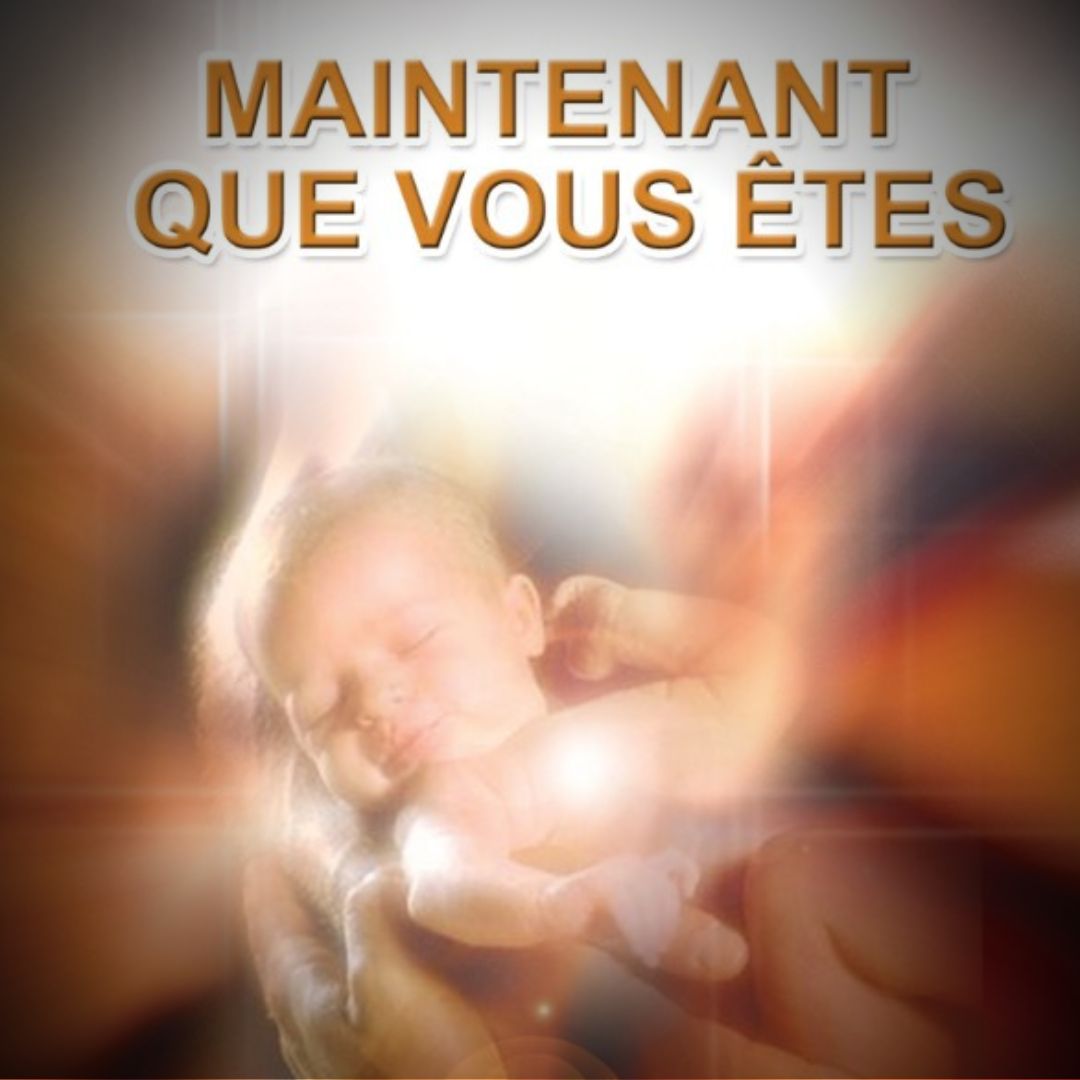 MAINTENANT QUE VOUS ETES