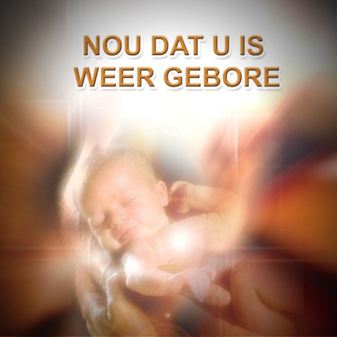 Nou Dat U Is Weer Gebore