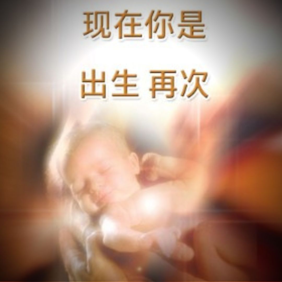 今汝就是重新生